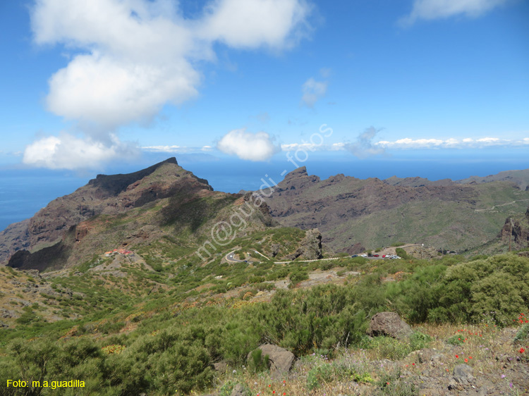 BUENAVISTA DEL NORTE (109) MASCA
