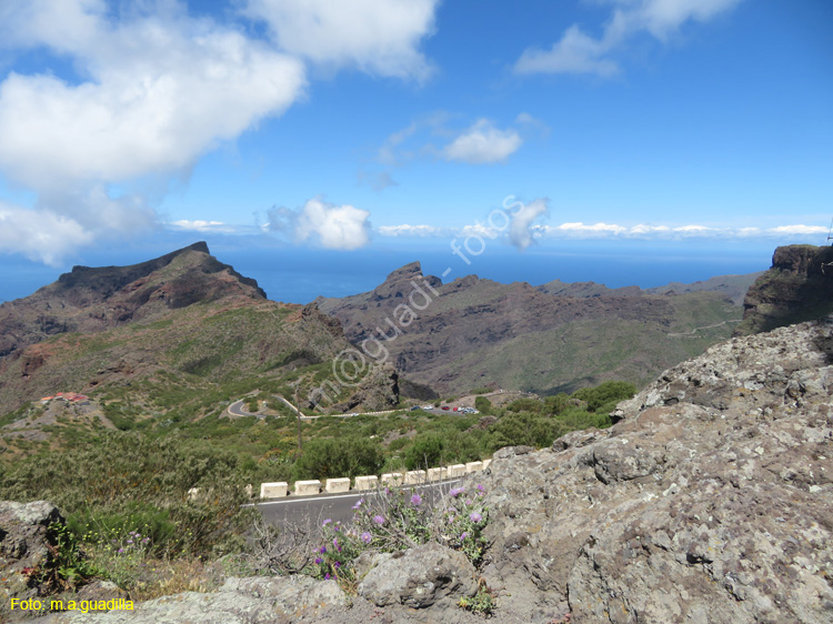 BUENAVISTA DEL NORTE (112) MASCA