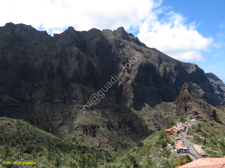 BUENAVISTA DEL NORTE (118) MASCA