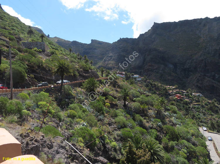 BUENAVISTA DEL NORTE (119) MASCA