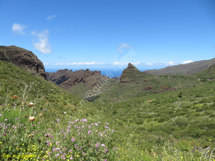BUENAVISTA DEL NORTE (122) MASCA