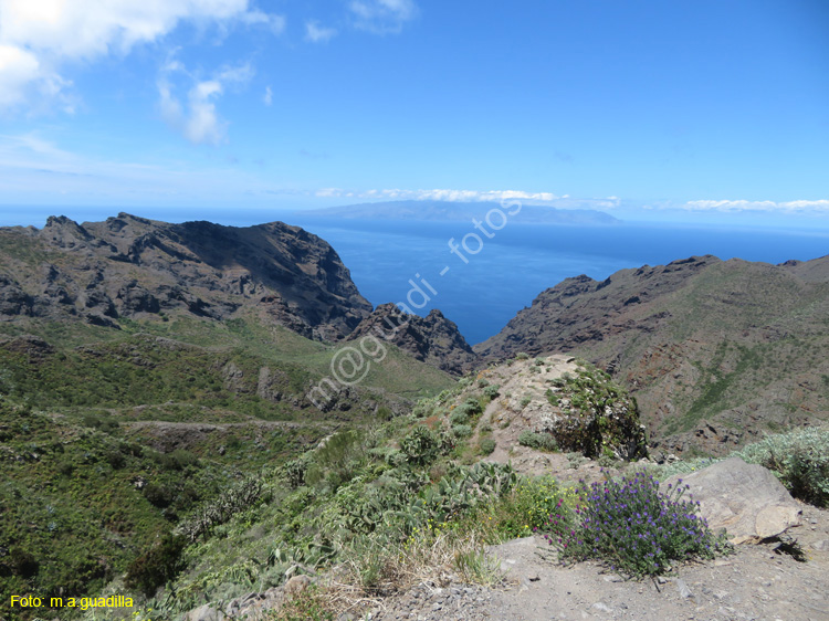 BUENAVISTA DEL NORTE (125) MASCA