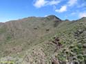 BUENAVISTA DEL NORTE (100) MASCA