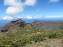 BUENAVISTA DEL NORTE (109) MASCA