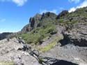 BUENAVISTA DEL NORTE (111) MASCA
