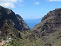 BUENAVISTA DEL NORTE (117) MASCA