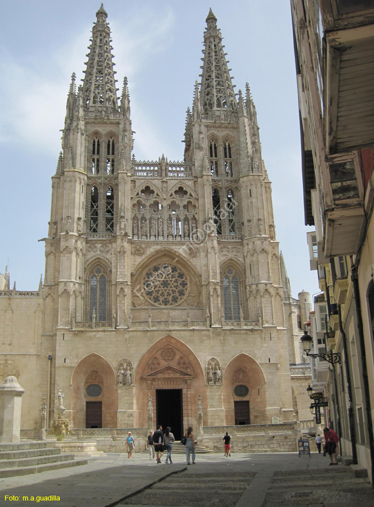 Burgos (101) Catedral