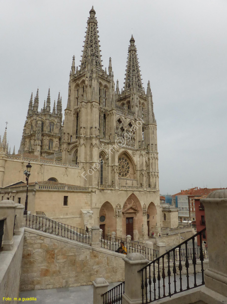 Burgos (102) Catedral