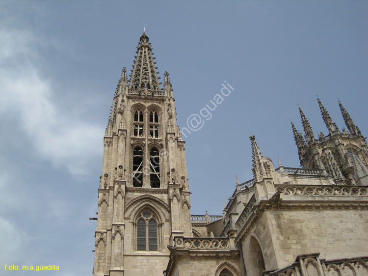 Burgos (105) Catedral