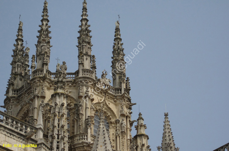 Burgos (106) Catedral