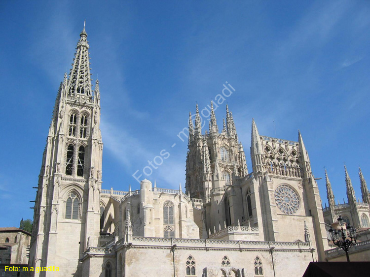 Burgos (118) Catedral