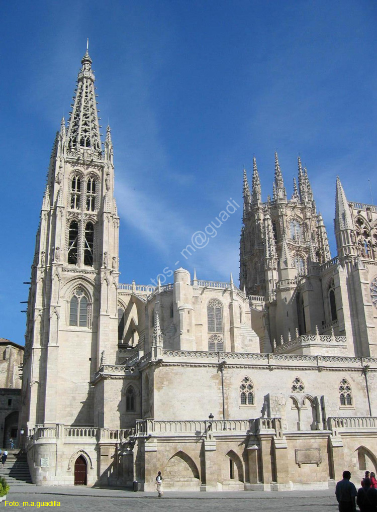Burgos (119) Catedral