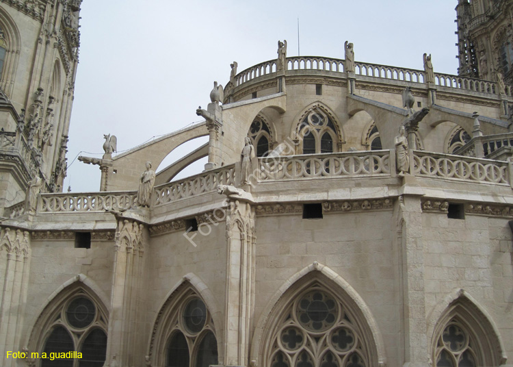 Burgos (125) Catedral