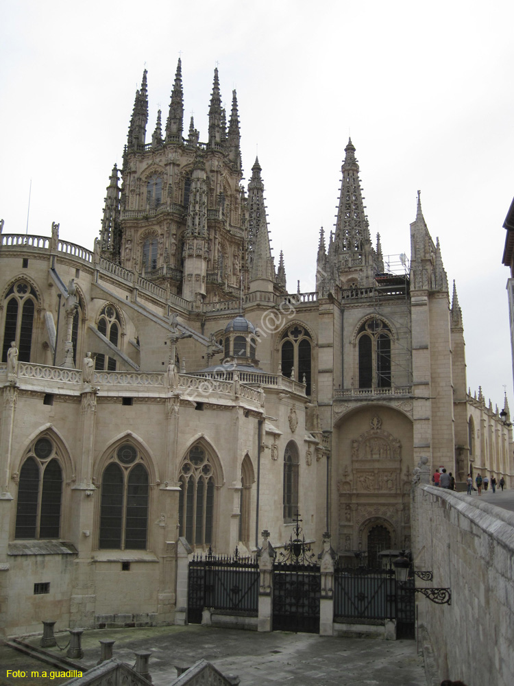 Burgos (127) Catedral
