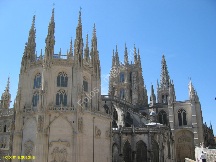 Burgos (129) Catedral