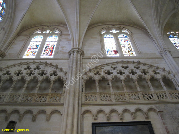 Burgos (134) Catedral