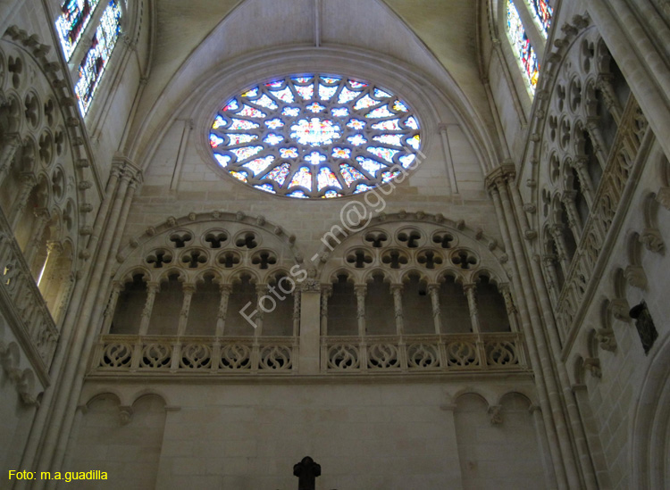 Burgos (141) Catedral