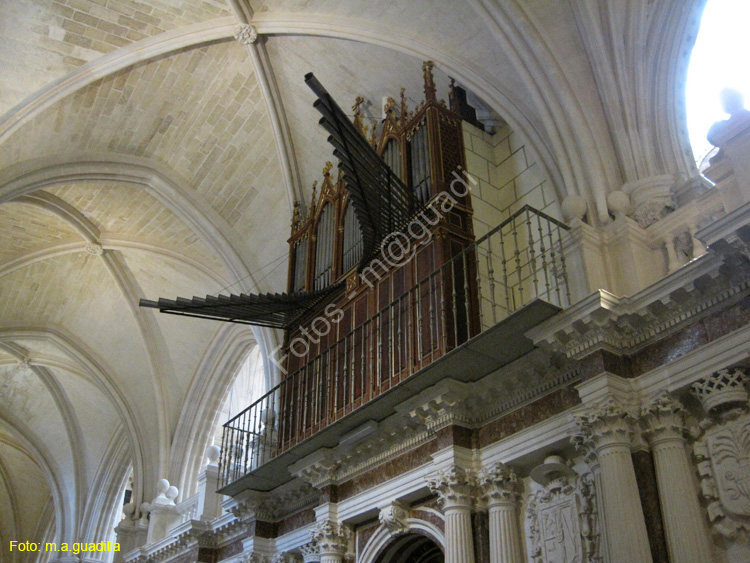 Burgos (159) Catedral