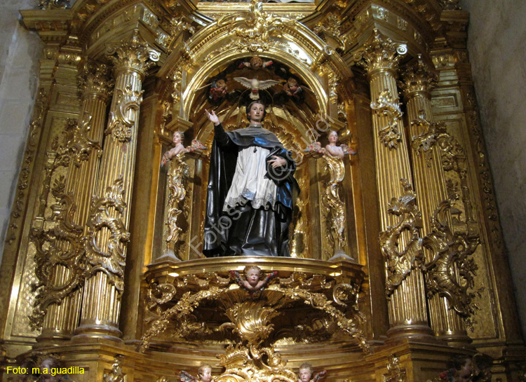 Burgos (161) Catedral