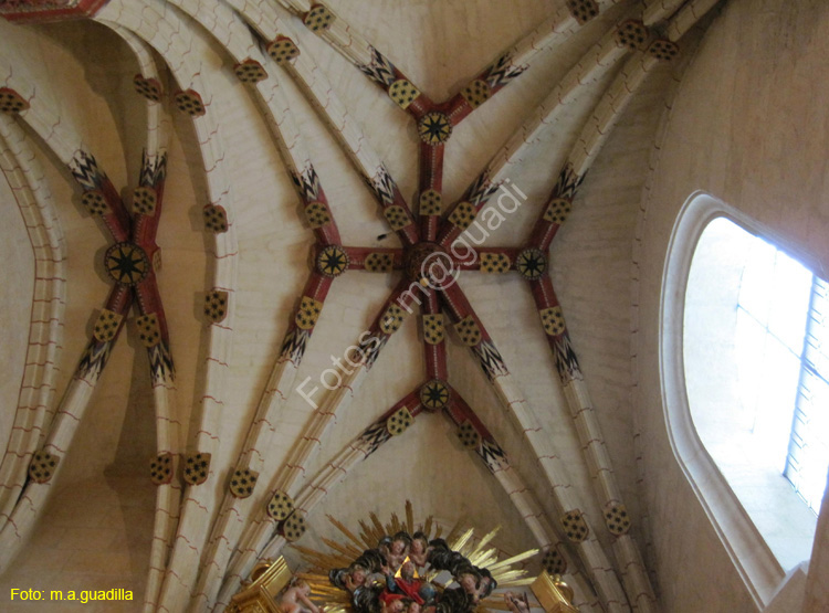 Burgos (162) Catedral