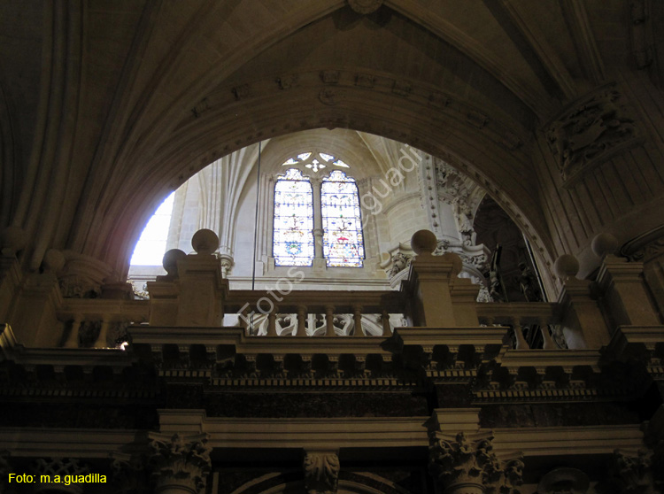 Burgos (172) Catedral