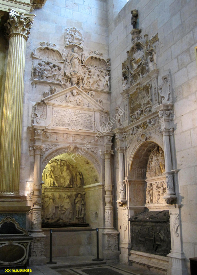 Burgos (180) Catedral