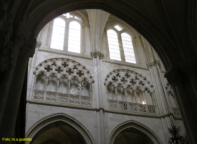 Burgos (194) Catedral