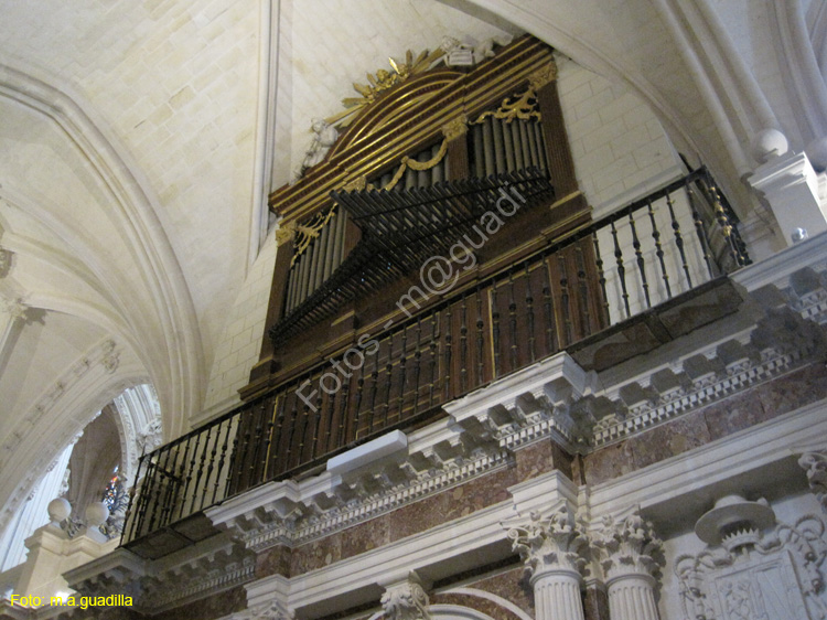 Burgos (195) Catedral