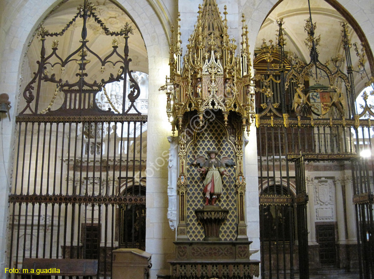 Burgos (210) Catedral