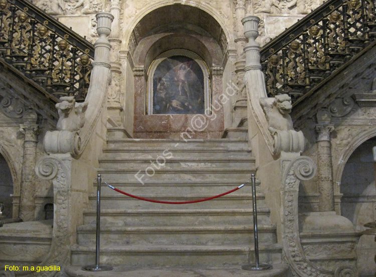 Burgos (213) Catedral
