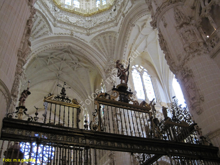 Burgos (219) Catedral