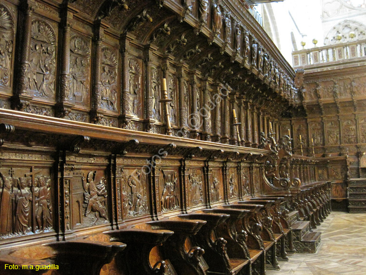 Burgos (223) Catedral