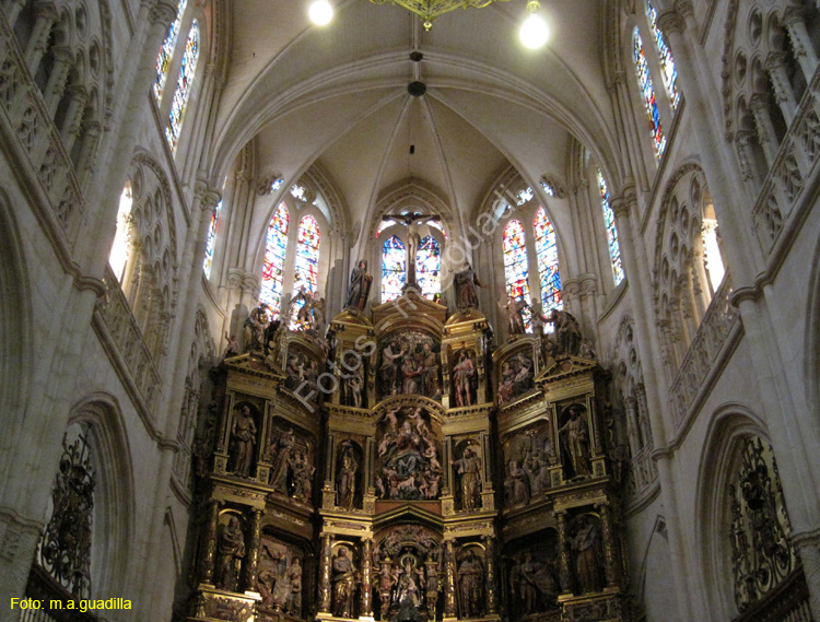 Burgos (233) Catedral