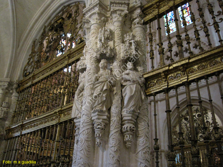 Burgos (235) Catedral
