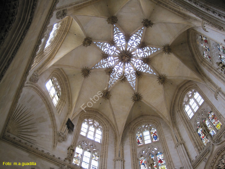 Burgos (259) Catedral