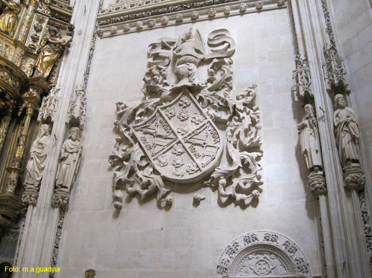 Burgos (260) Catedral