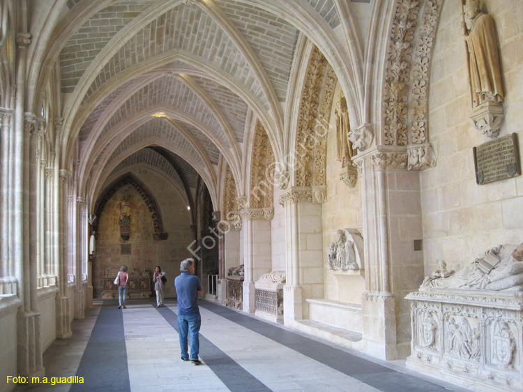 Burgos (286) Catedral