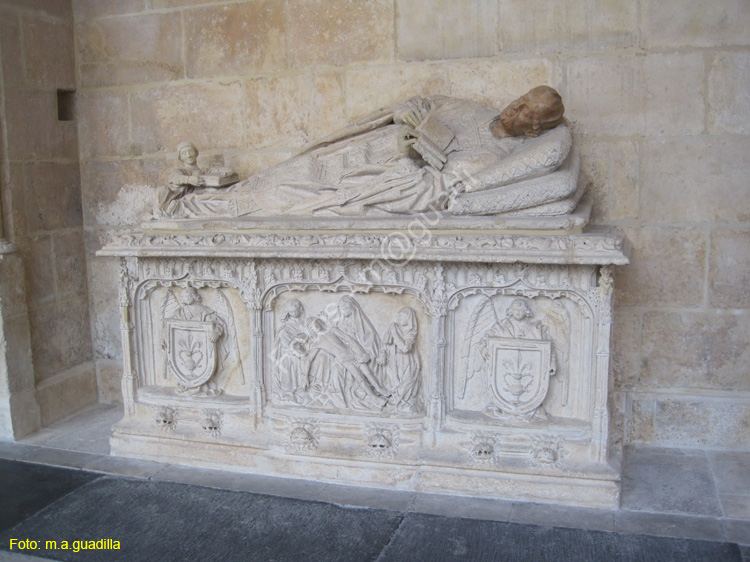Burgos (287) Catedral