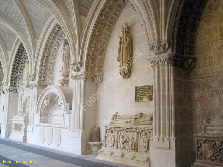 Burgos (289) Catedral