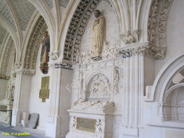Burgos (291) Catedral