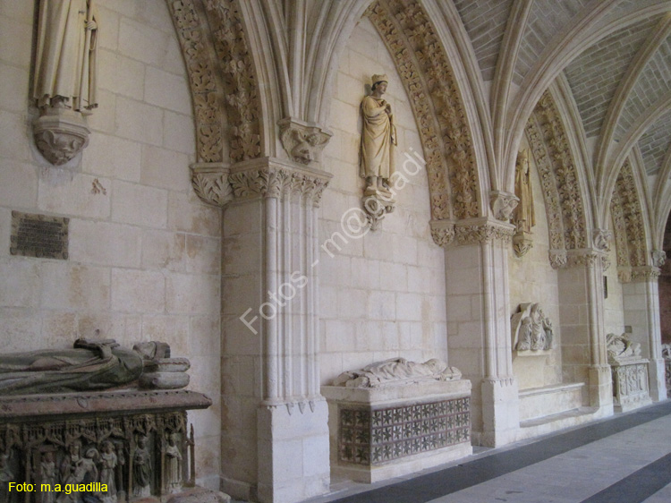 Burgos (293) Catedral