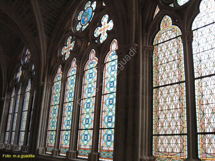 Burgos (294) Catedral