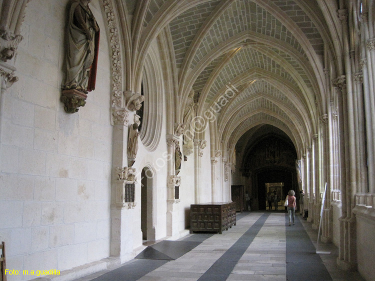Burgos (295) Catedral