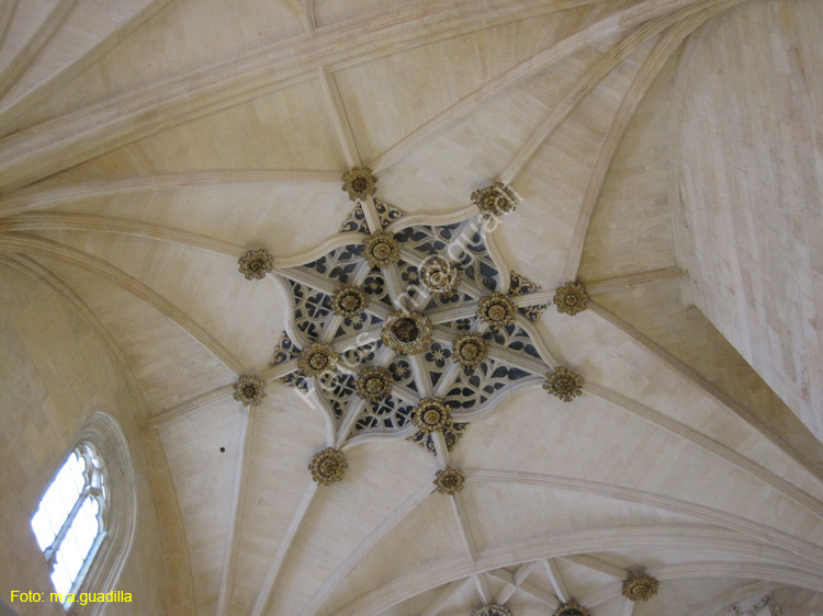 Burgos (299) Catedral