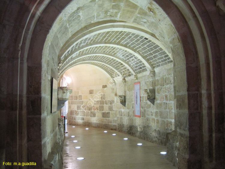 Burgos (301) Catedral