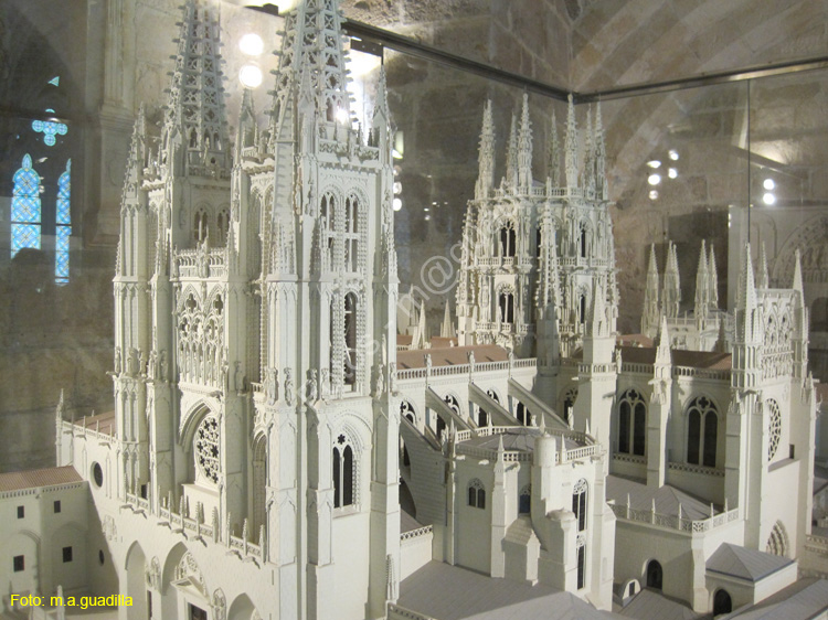 Burgos (303) Catedral