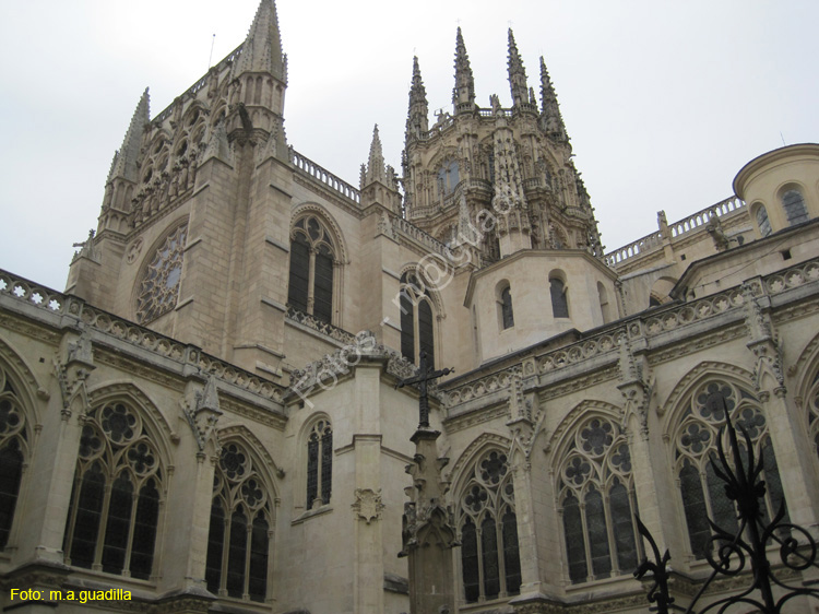 Burgos (308) Catedral