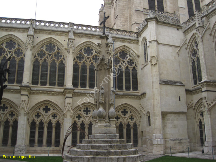 Burgos (309) Catedral