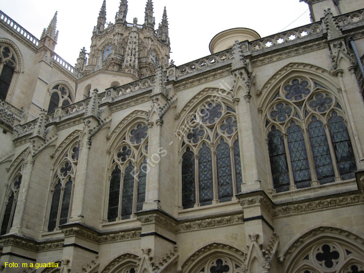 Burgos (310) Catedral