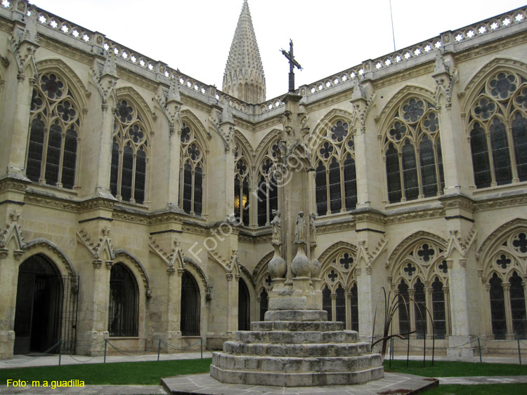 Burgos (311) Catedral